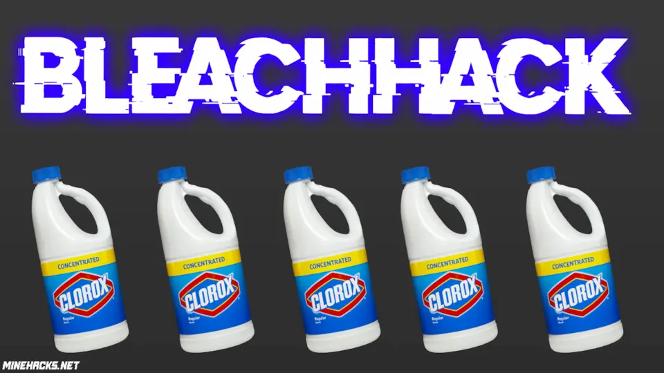 An image/thumbnail of BleachHack 1.16.5
