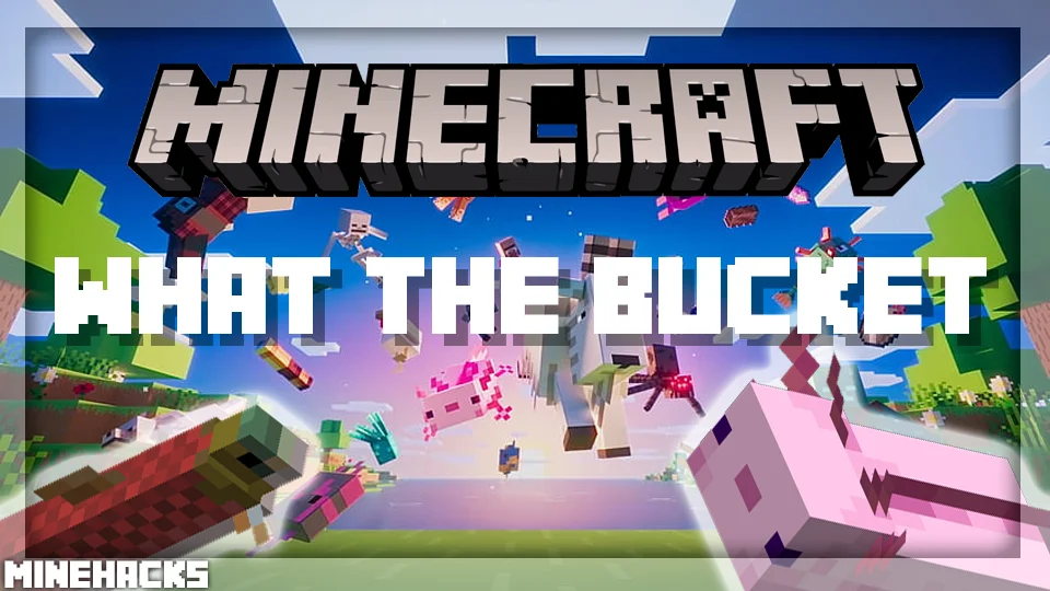 minecraft hacked client named What The Bucket Mod